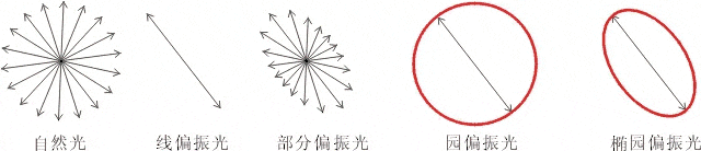 什么是偏振光？偏振光是如何完成檢測的？