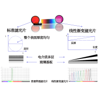 線性漸變?yōu)V光片是什么？有何特點？