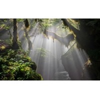 光的干涉、衍射、折射、反射、散射